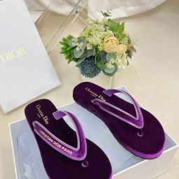 Dior Sia Slippers – Replica